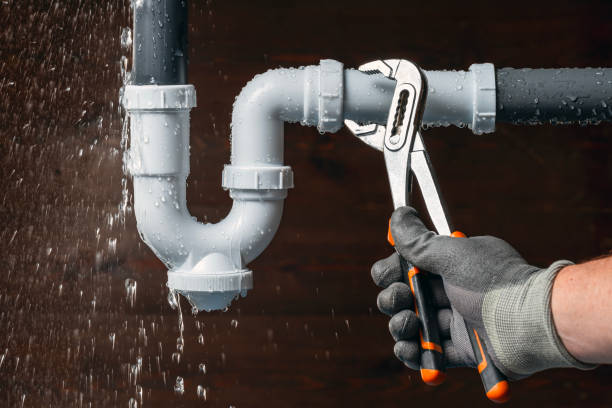 Professional Plumbing technician working in Woodland, WI